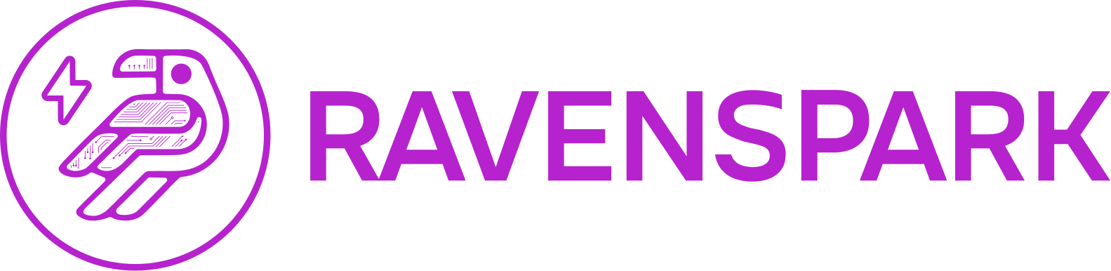 RavenSpark Digital Marketing